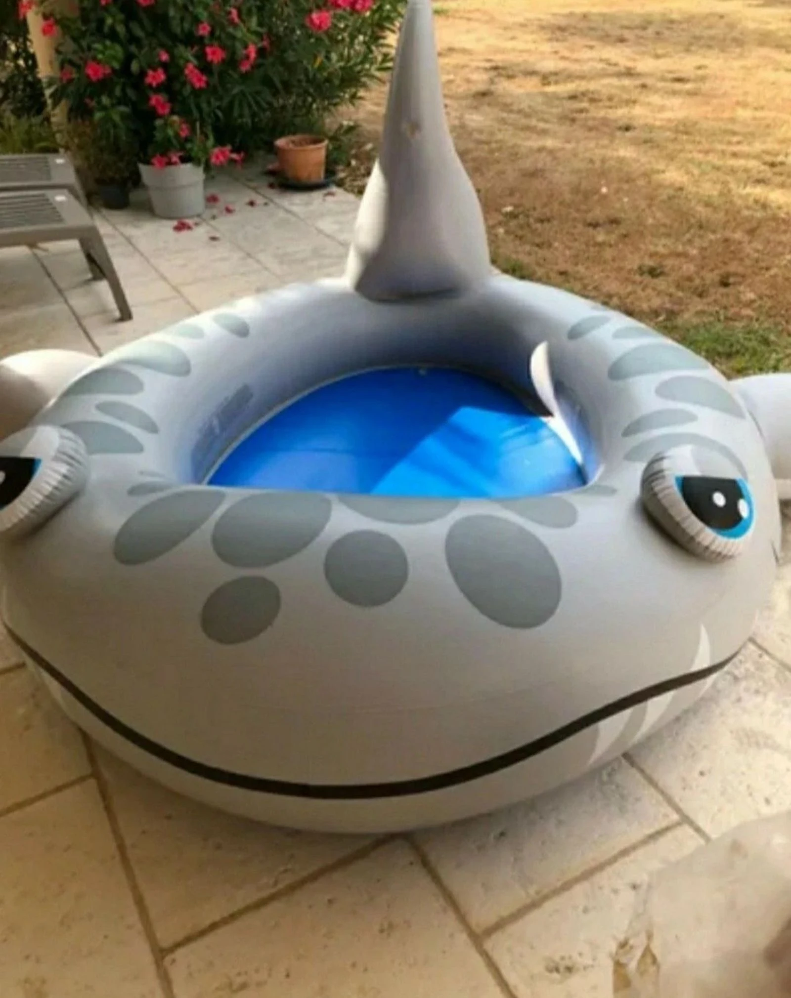 Piscine gonflable intex